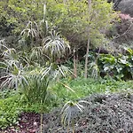Fragas Do Lobo - Casa Da Azenha فيلة Castelo Novo