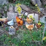 Fragas Do Lobo - Casa Da Azenha *