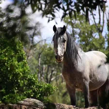 Fragas Do Lobo - Casa Da Azenha * Castelo Novo