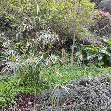 Fragas Do Lobo - Casa Da Azenha וילה קאסטלו נובו