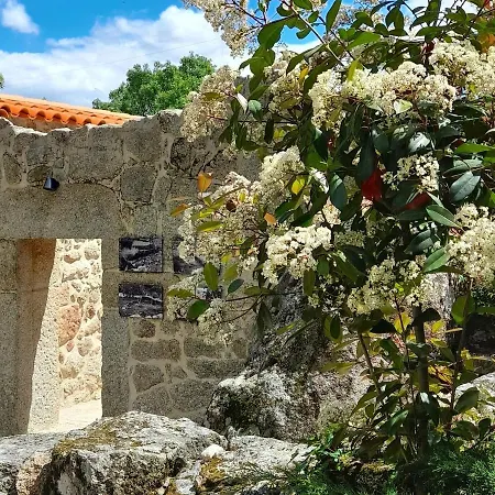 Villa Fragas Do Lobo - Casa Da Azenha *