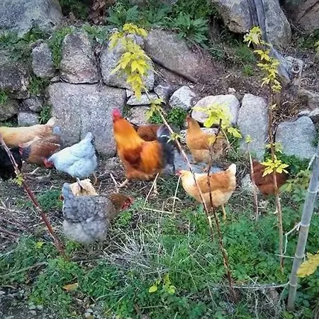Fragas Do Lobo - Casa Da Azenha *