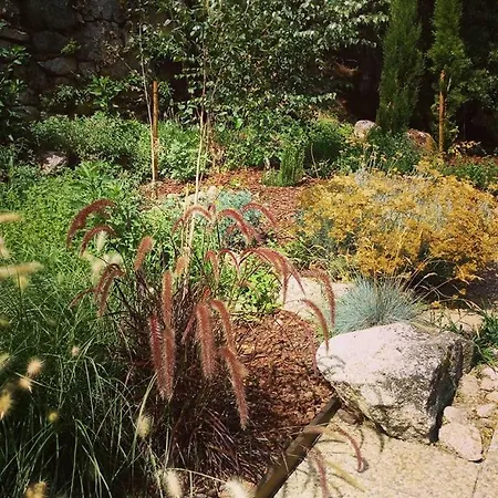 Fragas Do Lobo - Casa Da Azenha Castelo Novo