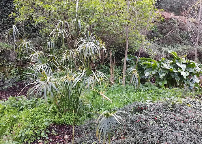 Fragas Do Lobo - Casa Da Azenha Villa Castelo Novo