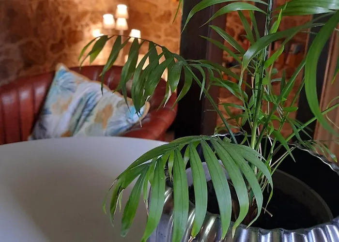 Fragas Do Lobo - Casa Da Azenha *