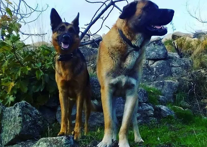Fragas Do Lobo - Casa Da Azenha Castelo Novo