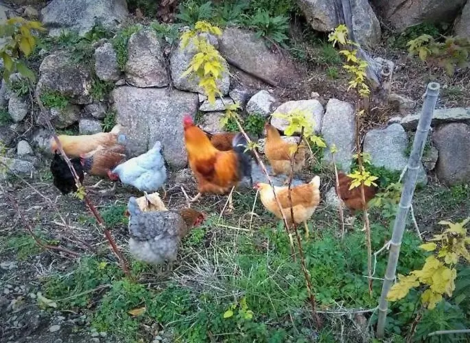 Fragas Do Lobo - Casa Da Azenha *