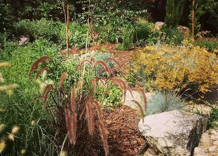 Fragas Do Lobo - Casa Da Azenha Castelo Novo